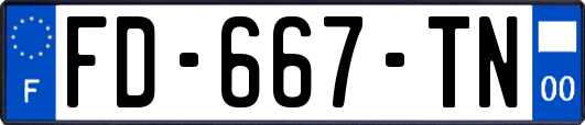 FD-667-TN