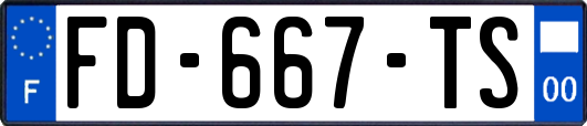 FD-667-TS