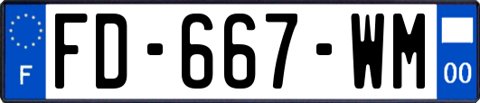 FD-667-WM