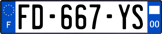 FD-667-YS