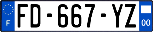 FD-667-YZ