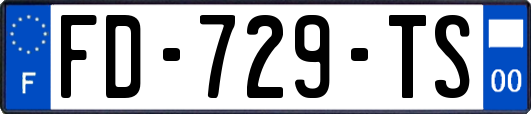 FD-729-TS