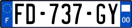 FD-737-GY