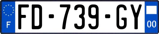 FD-739-GY