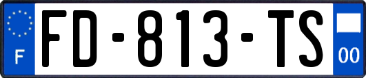 FD-813-TS