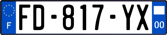 FD-817-YX