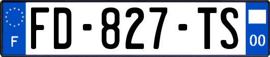 FD-827-TS