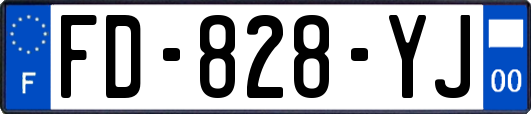FD-828-YJ