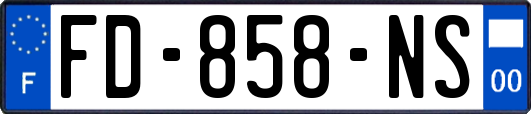 FD-858-NS