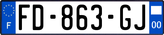 FD-863-GJ