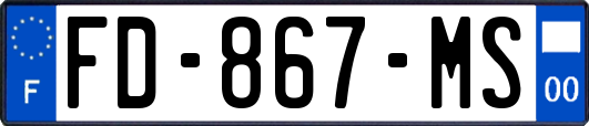 FD-867-MS