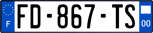 FD-867-TS