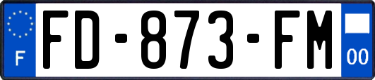 FD-873-FM