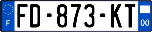 FD-873-KT