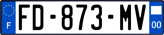FD-873-MV