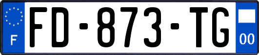 FD-873-TG
