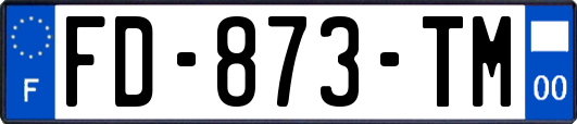 FD-873-TM