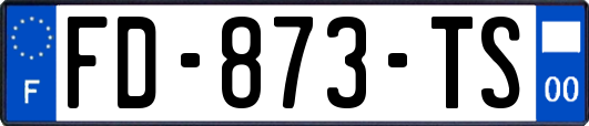 FD-873-TS