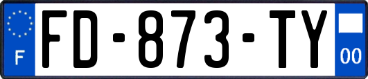 FD-873-TY