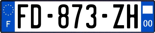 FD-873-ZH