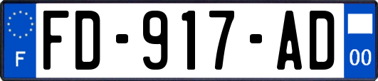 FD-917-AD