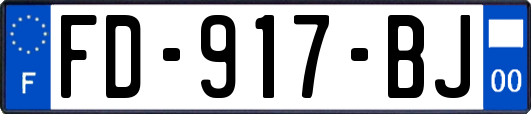 FD-917-BJ
