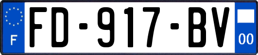 FD-917-BV