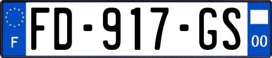 FD-917-GS