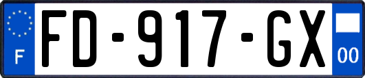 FD-917-GX