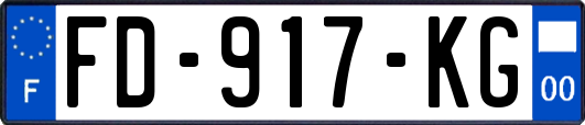 FD-917-KG