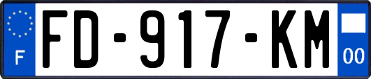FD-917-KM