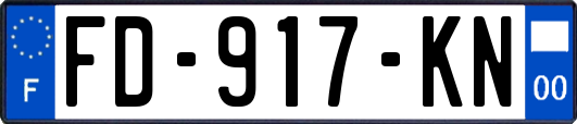 FD-917-KN