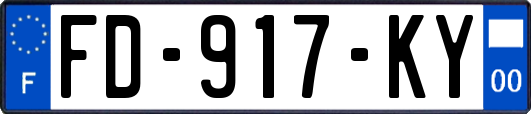FD-917-KY