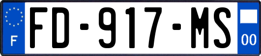 FD-917-MS