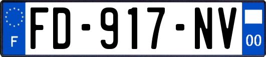 FD-917-NV