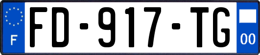 FD-917-TG