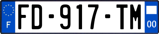 FD-917-TM