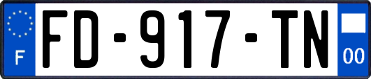 FD-917-TN