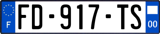 FD-917-TS