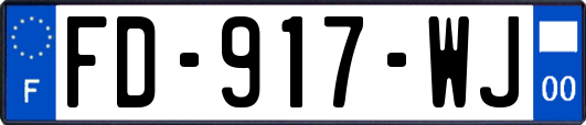 FD-917-WJ