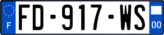 FD-917-WS