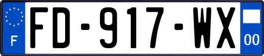 FD-917-WX