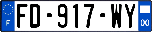FD-917-WY