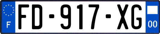 FD-917-XG
