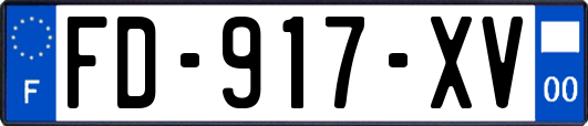FD-917-XV