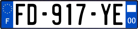 FD-917-YE
