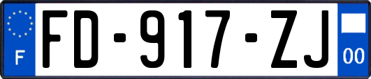 FD-917-ZJ