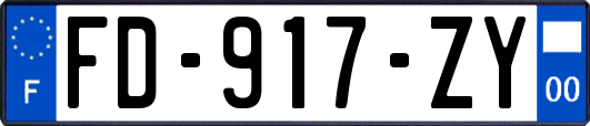 FD-917-ZY