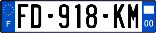 FD-918-KM
