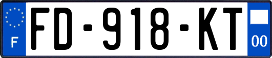 FD-918-KT